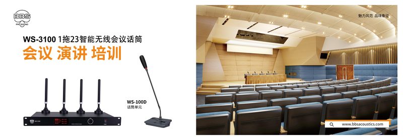 WS-3100.jpg